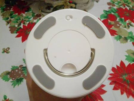 15595495_10209736666030821_503469061_o