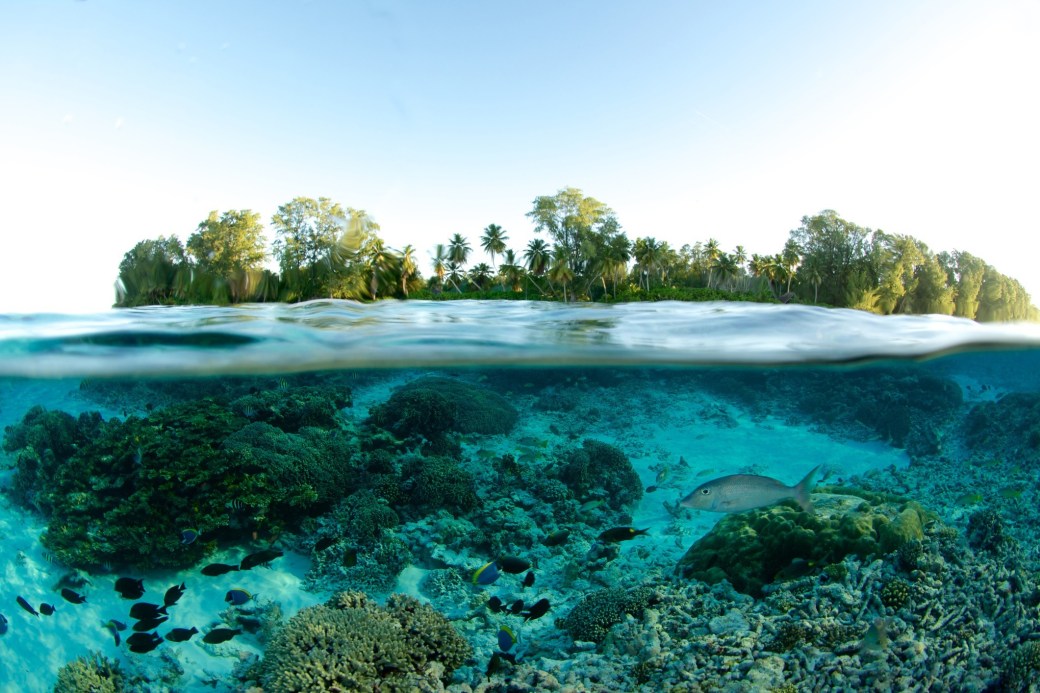 britishairways_216864178559882