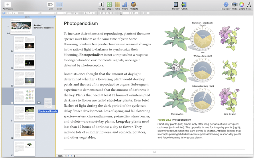 Screen Shot 2017-10-04 at 10.24.36