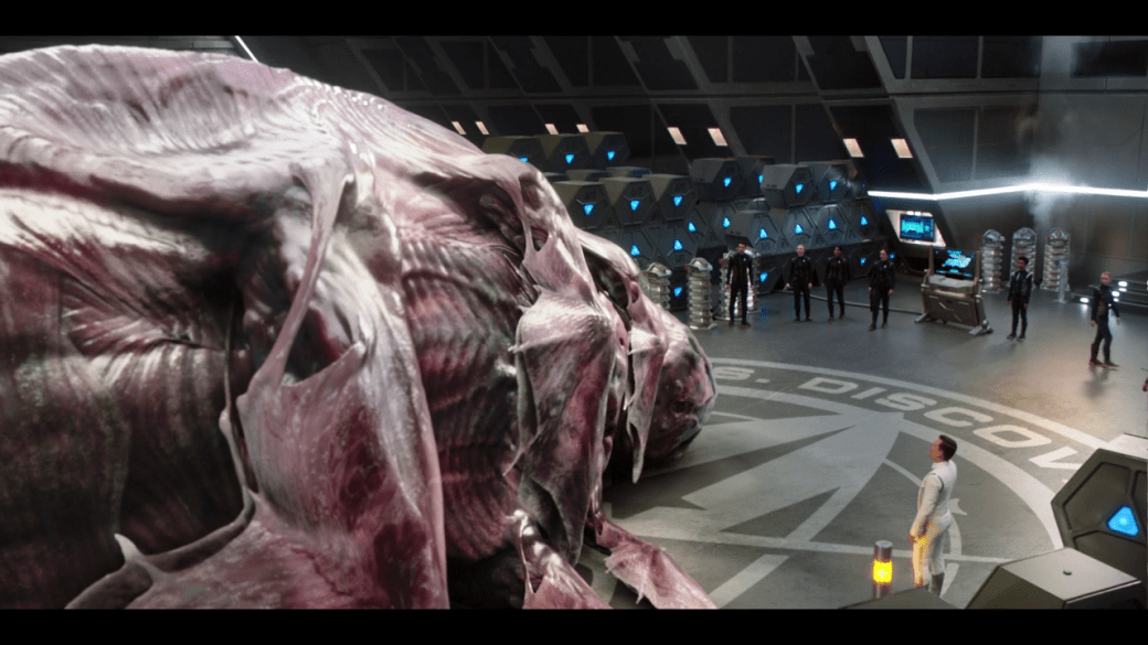 vlcsnap-2019-01-08-23h16m20s284