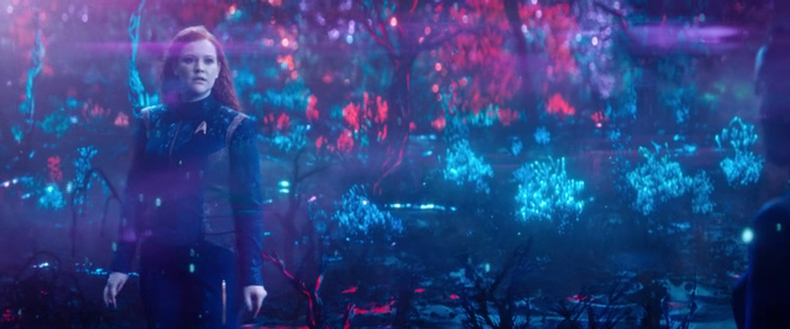 vlcsnap-2019-02-21-00h17m04s770